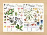 マスキングシート　花　11月12月の画像