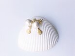 cotton pearl studs/shellの画像