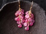 送料無料【K14gf】Baby Drop Long earrings・ピンクサファイアのロングピアスの画像