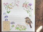 おてがみセット 〜野の花と小鳥〜の画像
