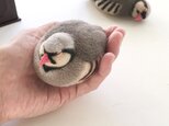 眠たいイワシャコ　専用BOX付きの画像