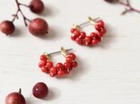 【チタンピアス・小(通常サイズ/gfに変更可能)】赤珊瑚 レースフープ フープピアス