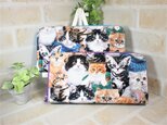 Ｙ様ご依頼品　USAコットン　キャット・ブリーズ　長財布＆ポシェットの画像