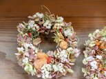 水無月紫陽花と木の実、バラの実とカワラハハコの秋冬ミニリースの画像