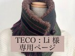 TECO：Li 様 専用ページの画像