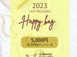 【LAST販売！送料無料】2023年 新春HAPPY BAG 5千円(1万円相当分のジュエリー)の画像