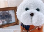 お出かけ♫。♪ ポッケに手　ビションフリーゼ　ぬいぐるみの画像