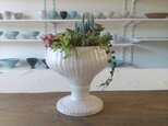 ゴブレット型植木鉢（白マット釉）の画像