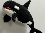 【DL編み図】かぎ針編み海洋生物シャチかわいい編みぐるみの画像