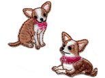 アップリケワッペン チワワ2枚 犬 ドッグ ペット チョコタン レッド  kr-0041