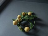 mimosa small circleの画像