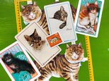 猫 ネコ CATS！コラージュ6点セット【U.S.A.】【England】【Germany】DA-CO101