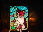 猫と睡蓮の行灯の画像