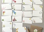 いろいろ植物メッセージカード 20枚