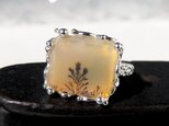 デンドリティック アゲートリング / Dendritic Agate Ring [の画像