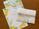 Letter Set レモンと青羽木葉鳥