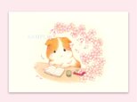 ポストカード 和言葉『零れ桜』２枚入の画像