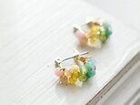 春から初夏 期間限定【チタンピアス】虹色・レインボー レースフープ 小／マカロンカラーの画像