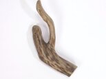 【温泉流木】かしげるように曲がるおしゃれな短い枝流木 流木素材 インテリア素材 オブジェ レイアウトの画像