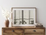 窓と植物の影 / アートポスター インテリア 2L〜 アート写真 横長 プラント 植木鉢 陰影 粒子の画像