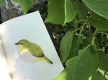 再販　本革　鳥　めじろ　ブックマークの画像