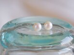 natural water pearl 淡水パール一粒ピアス　ホワイト　白真珠の画像