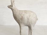 四肢生物オブジェの画像