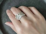 Botanical ringの画像