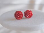 赤珊瑚ピアス・イヤリング African coral earring　バラ　薔薇　ローズの画像