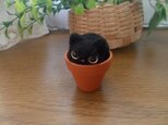 羊毛フェルト　黒猫in植木鉢　ねこ　猫の画像