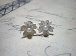 小桜ピアス