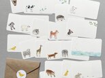 いろいろ動物メッセージカード 20枚の画像