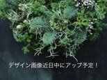 透け感がおしゃれな！ショップカード/サンキューカード/名刺/セミオーダー可能　　　半透明カード/結婚式席札などにの画像
