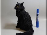 羊毛フェルト 猫 黒猫 ねこ ネコ 猫フィギュア