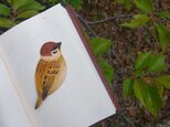 再販　本革　鳥　すずめ　ブックマーク
