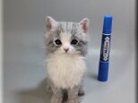 羊毛フェルト　猫　ふさふさな子猫　ねこ　ネコ　猫フィギュアの画像