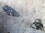 深海の怪魚