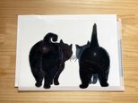 クロニャンコ：猫のクリアファイル：A4サイズの画像