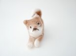 柴犬　※ｓさまご注文品の画像