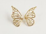 片羽のバタフライピアス(gold)