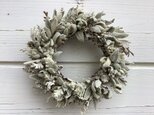 atelierBLUGRA八ヶ岳〜ラムズイヤーWreath17cmの画像