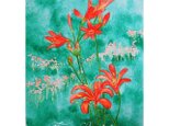 水彩画・原画「野の花キツネノカミソリ」の画像