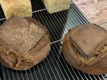 Rye Sourdough (ライ麦100%サワドウ)の画像