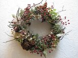 ノバラの実の鳥の巣リース