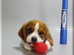羊毛フェルト　犬　ビーグルの画像
