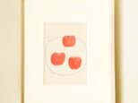 【N様専用ページ】原画「リンゴ/ドローイング」水彩イラスト※木製額縁入りの画像