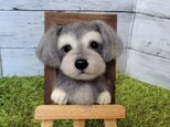 羊毛 フェルト 犬  シュナウザーフレーム うちの子 オーダー  ペット ミニチュアシュナウザー ぬいぐるみ 人形 虹の橋の画像
