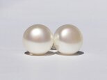 Huge pearl pierce / SV925, Freshwater pearlの画像