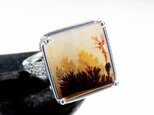 デンドリティック アゲート リング / Dendritic Agate Ring Ll2の画像