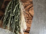 秋の淡い緑スワッグ  ~野草とパンパスグラスの画像